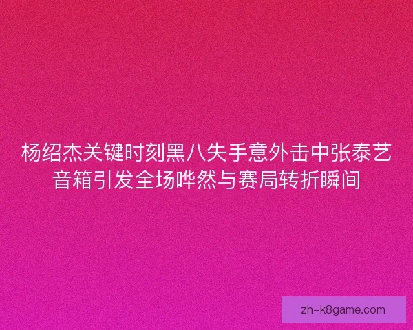 杨绍杰关键时刻黑八失手意外击中张泰艺音箱引发全场哗然与赛局转折瞬间 杨绍杰关键时刻黑八失手意外击中张泰艺音箱引发全场哗然与赛局转折瞬间