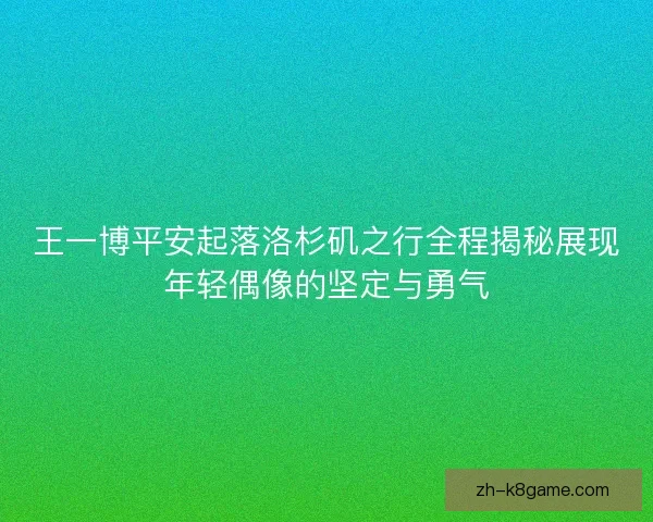 王一博平安起落洛杉矶之行全程揭秘展现年轻偶像的坚定与勇气