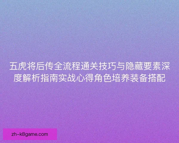五虎将后传全流程通关技巧与隐藏要素深度解析指南实战心得角色培养装备搭配